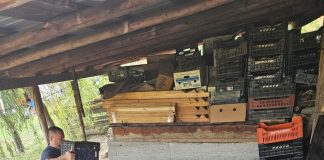 România, la expoziția internațională “Săptămâna verde 2025”, de la Berlin / Expoziția cuprinde și un produs tradițional din Vrancea