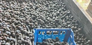 Produse specifice Vrancei, în aceste zile, la Târgul de produse tradiționale de la Ministerul Agriculturii