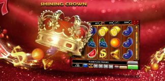 Influența Culturii Populare în Shining Crown