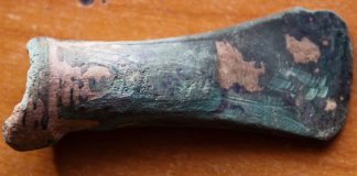 FOTO Descoperire istorică pe raza comunei Dumitrești