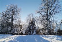 Alertele de vreme geroasă se mențin în primele zile ale săptămânii