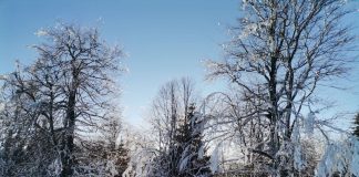 Alertele de vreme geroasă se mențin în primele zile ale săptămânii