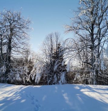Alertele de vreme geroasă se mențin în primele zile ale săptămânii