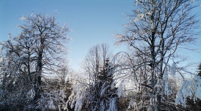 Alertele de vreme geroasă se mențin în primele zile ale săptămânii