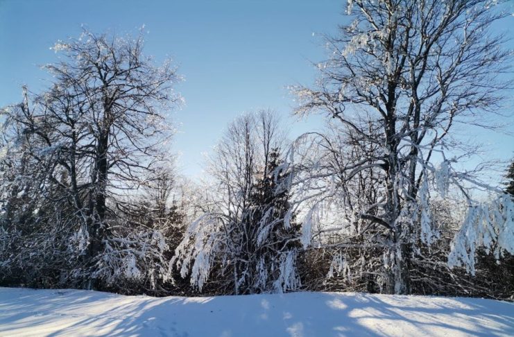 Alertele de vreme geroasă se mențin în primele zile ale săptămânii