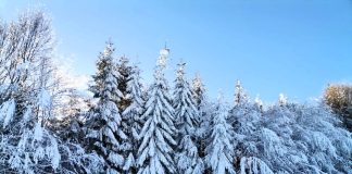 Intensificările de vânt persistă în Munții Vrancei până în seara de Revelion