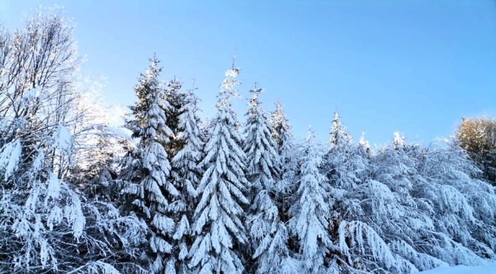 Intensificările de vânt persistă în Munții Vrancei până în seara de Revelion