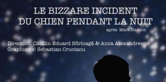 Trupa de teatru Protha din Panciu, invitată la un nou festival internațional / Tinerii artiști au nevoie de sprijin financiar pentru a participa la festival