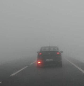 Ceață, în această dimineață, în zona de câmpie a județului