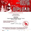 diploma mihai bratosin 1