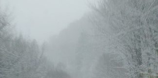 Avertizare: Conduceți prudent! Informați-vă cu privire la starea carosabilului înainte de a porni în călătorie!