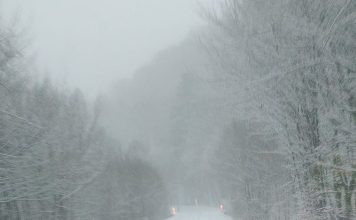 Meteo: ninsoare și vânt, la munte, la începutul săptămânii viitoare