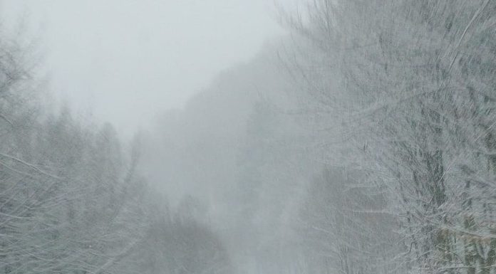 Meteo: ninsoare și vânt, la munte, la începutul săptămânii viitoare