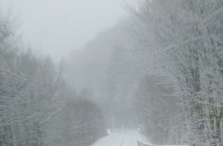 Meteo: ninsoare și vânt, la munte, la începutul săptămânii viitoare