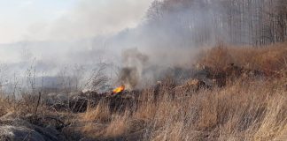 Este interzisă arderea miriştilor şi a vegetaţiei pajiştilor permanente / Fermierii care le dau foc își vor pierde subvențiile