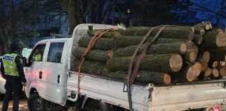 Controale în sectorul silvic, soldate cu amenzi și confiscări de lemne