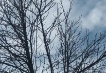 Meteo: vânt, ploi, lapoviță și ninsoare până mâine