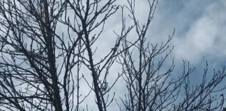 Meteo: intensificări de vânt, sâmbătă, în Vrancea și alte județe din țară