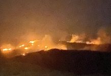 Zeci de hectare de vegetație ard în comuna Dumitrești / Mobilizare a localnicilor și a pompierilor vrânceni și din Rm. Sărat