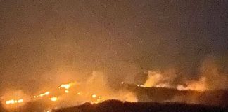 Zeci de hectare de vegetație ard în comuna Dumitrești / Mobilizare a localnicilor și a pompierilor vrânceni și din Rm. Sărat