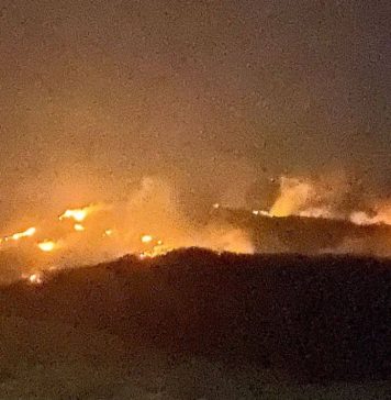 Zeci de hectare de vegetație ard în comuna Dumitrești / Mobilizare a localnicilor și a pompierilor vrânceni și din Rm. Sărat