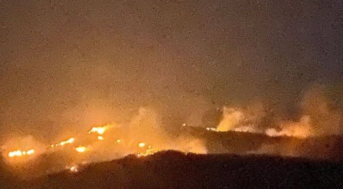 Zeci de hectare de vegetație ard în comuna Dumitrești / Mobilizare a localnicilor și a pompierilor vrânceni și din Rm. Sărat