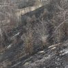 incendiu 1