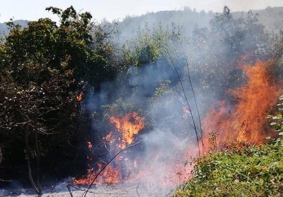 Pompierii se luptă de aseară cu un incendiu de pădure din Nereju