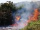 Pompierii se luptă de aseară cu un incendiu de pădure din Nereju PAAAAA1BMVEWurq51dlI4AAAAAXRSTlMmkutdmwAAAA5JREFUKM9jGAWjYJABAAKUAAHoEAeuAAAAAElFTkSuQmCC