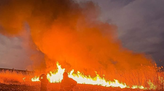 Incendiu de vegetație într-o zonă mlăștinoasă din Pufești