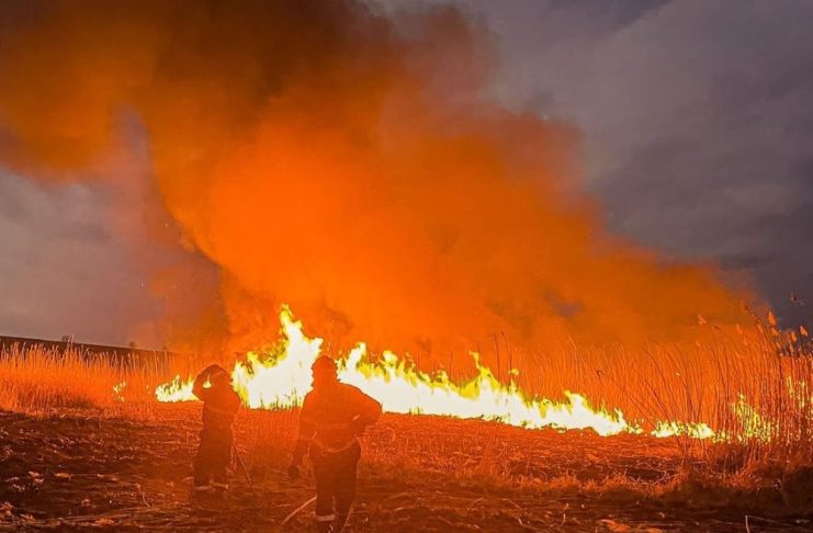 Incendiu de vegetație într-o zonă mlăștinoasă din Pufești