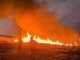 Incendiu de vegetație într-o zonă mlăștinoasă din Pufești PAAAAA1BMVEWurq51dlI4AAAAAXRSTlMmkutdmwAAAA5JREFUKM9jGAWjYJABAAKUAAHoEAeuAAAAAElFTkSuQmCC