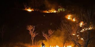 Incendiu de vegetație la Dumitrești, pe 160 de hectare