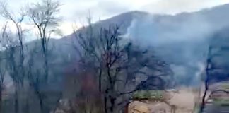VIDEO Încă un incendiu de vegetație în comuna Dumitrești
