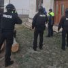 politie tulnici