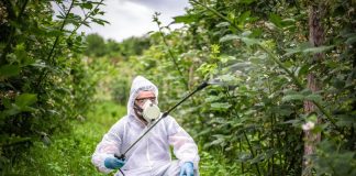 Avertisment pentru fermieri – Atenție la produsele contrafăcute de protecție a platelor!