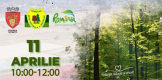 Vineri, o zi dedicată naturii și comunității, la Odobești