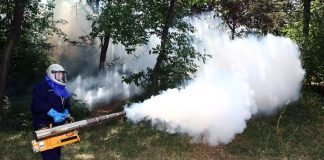 Dezinsecție în Crângul Petrești / Apicultorii trebuie să-și protejeze albinele