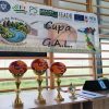 handbal fete gal 2