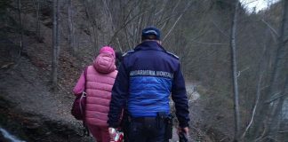 O ursoaică și doi pui au speriat turiștii pe Cheile Tișiței