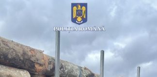 Proiect pentru noua aplicație SUMAL 3.0