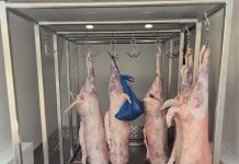 Siguranța consumatorilor, o responsabilitate comună, de la fermă la furculiță / Recomandările ANPC