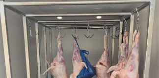 Siguranța consumatorilor, o responsabilitate comună, de la fermă la furculiță / Recomandările ANPC