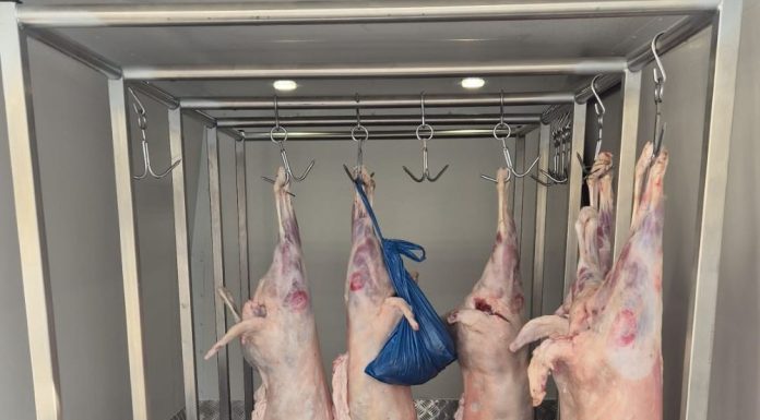 Siguranța consumatorilor, o responsabilitate comună, de la fermă la furculiță / Recomandările ANPC