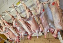 DSVSA Vrancea: controale specifice sărbătorilor de Paști / Recomandări din partea inspectorilor sanitari veterinari