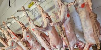 ANSVSA: peste 5.300 controale în ultima săptămână, amenzi de 4,3 milioane lei, peste 2 tone de carne confiscate