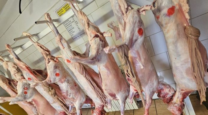 DSVSA Vrancea: controale specifice sărbătorilor de Paști / Recomandări din partea inspectorilor sanitari veterinari