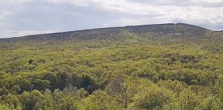 Meteo: vreme bună la mijloc de septembrie