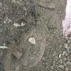 obiecte arheologie geo 6