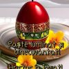 pasti